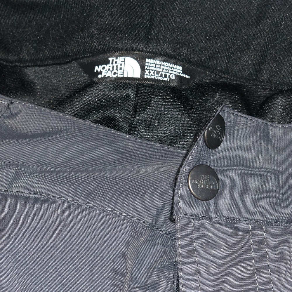 Northface ski pants